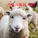 한강행정사 네이버블로그