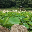 대구시 시니어들의 여행 산행 건강 모임 이미지