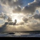 안면도바다풍경 이미지