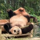 대원카페 이미지