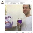 깔롱멍멍 | 4월의 기록