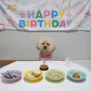 낼름멍푸드 이미지