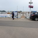 영흥도배낚시 제3용진호 네이버블로그