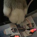 포토이즘박스양주