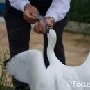 중한농장 이미지