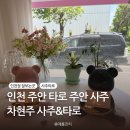 인천 점 잘보는곳 인천 사주 인천타로 주안사주 주안타로추천 차현주 사주&amp;타로 후기