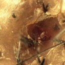 미용특공대 | 방송에서도 주목한 두피·탈모 관리의 끝판왕! 부산 사상 르네시떼미용실, 왜 이렇게 방문이 끊이지...