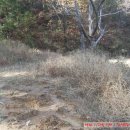 옥동목장2 이미지