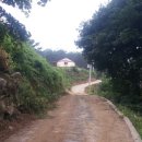 숲속 게르 하우스 이미지