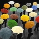 우산속으로 이미지