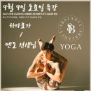 밸런스요가 이미지