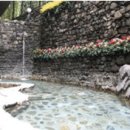 충남장어구이 이미지