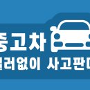 중고차, 이젠 딜러 없이 사고판다…살 땐 '싸게' 팔 땐 '비싸게' 이미지