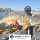 정성바다낚시터 "동갈돗돔" "점성어" 입하!! 이미지