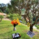 종문목장 이미지