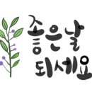 티지씨 네이버블로그