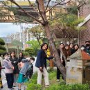 관양초등학교 이미지