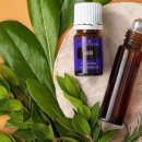 마노아(MANOAH) 이미지