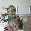 용골 | 양평 송어회 맛집 용골가든 포장 내돈내산 후기