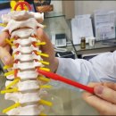 평촌부부한의원 이미지