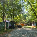속리산사내리캠핑장 | 충북 보은 캠핑장 겨울 장박 차박 오토캠핑 애견동반 가능 속리산 사내리 캠핑장