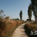 한강 산책 이미지