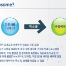 제일메디컬센터 이미지