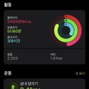 하가리집 이미지