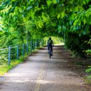 무지개 중원 이미지