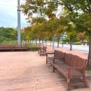 영진글로벌 | 가을엔 영진이지~ 영진전문대학교 글로벌캠퍼스에서 커피 한잔!