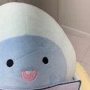 신촌피부과 유온느의원 애교필러 후기｜밋밋한 눈밑에서 자연스러운 애교살 완성✨