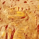 아이들세상유치원 이미지