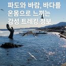 🌊 해파랑길 15코스 도전 후기/파도가 건네준 행운의 물세례/호미곶을 품은 순환형 바다길, 오감이...