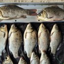 성호낚시터 이미지