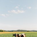 양동축산 이미지