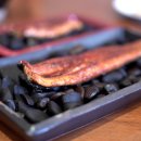 삼수장어 이미지