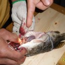 송광2차 이미지