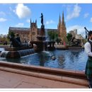 시드니(1) 이미지