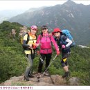 곡성-155 이미지