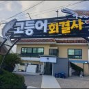 고등어회결사 이미지