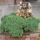 청운노인복지센터 이미지