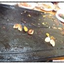 정원똥돼지 이미지