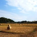 예동마을회관 이미지