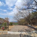 영인산자연휴양림 숲속야영장 이미지