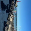 꽃피는민박 이미지