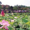 이색체험마을 이미지