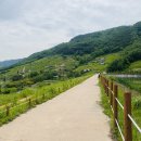 평지농장 이미지