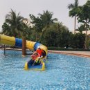 공마당맛집 이미지