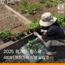 2025.04.30 [동탄 팜가든 팜스쿨] 4회차 키친가든 식재 실습-2