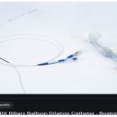 보스톤사이언티픽코리아(주) 이미지